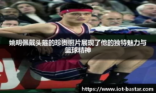 中欧体育