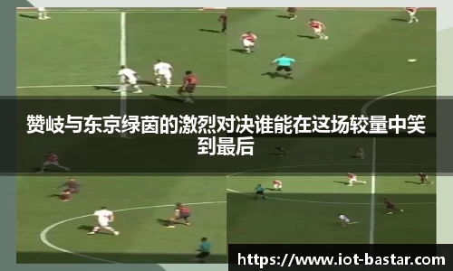 zoty中欧官方网站