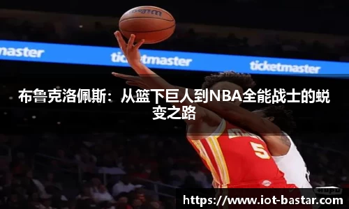 中欧体育