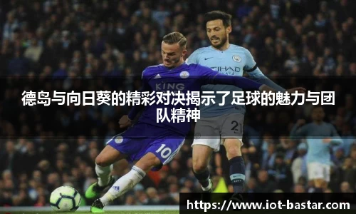 zoty中欧