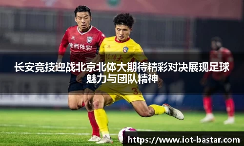 中欧体育