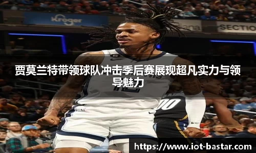 zoty中欧